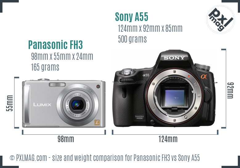 Panasonic FH3 vs Sony A55 size comparison