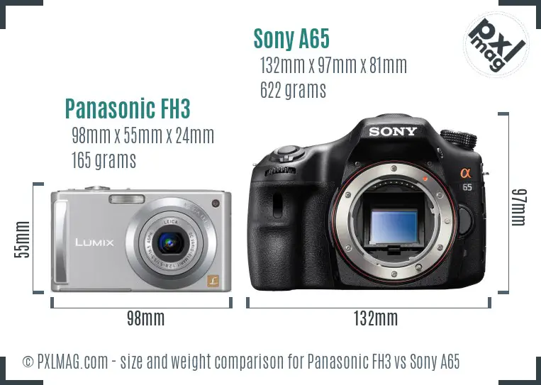 Panasonic FH3 vs Sony A65 size comparison