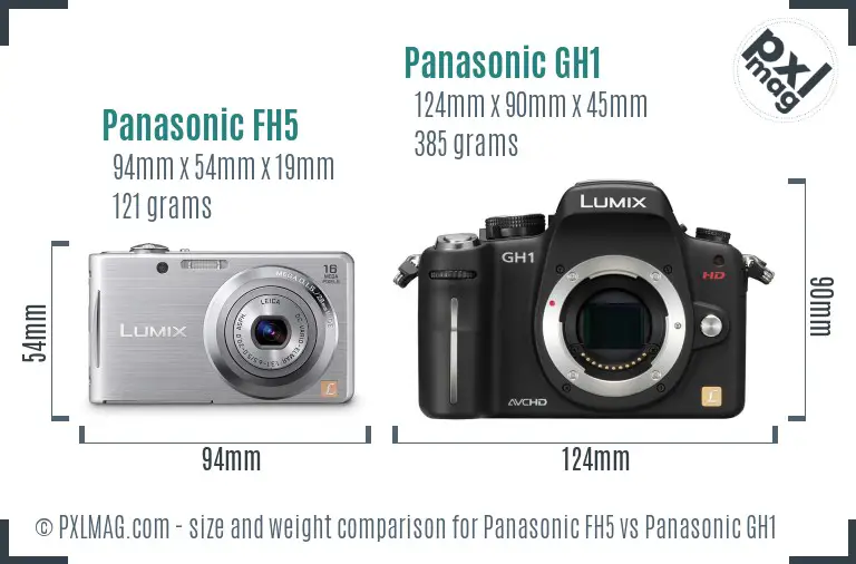 Panasonic FH5 vs Panasonic GH1 size comparison