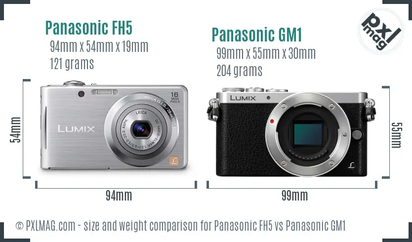 Panasonic FH5 vs Panasonic GM1 size comparison