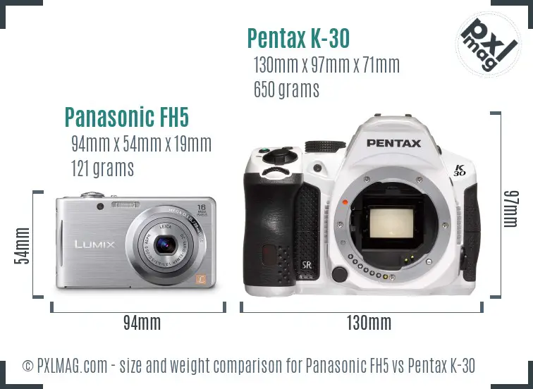 Panasonic FH5 vs Pentax K-30 size comparison