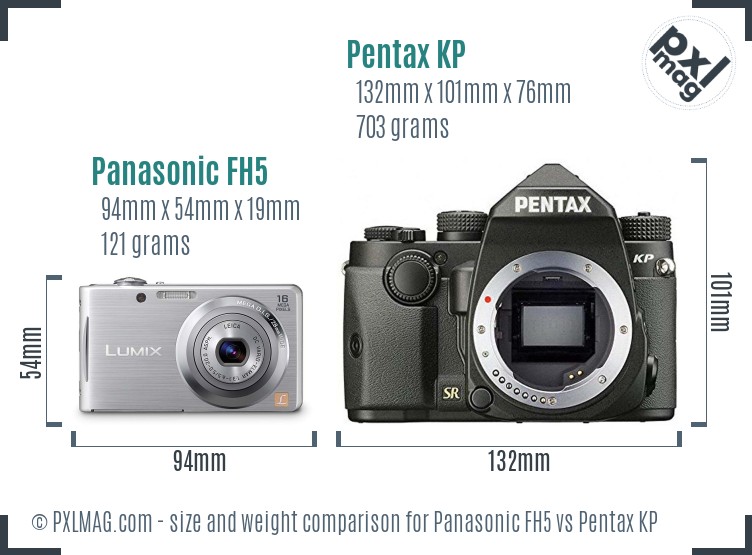 Panasonic FH5 vs Pentax KP size comparison