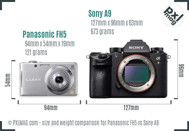 Panasonic FH5 vs Sony A9 size comparison