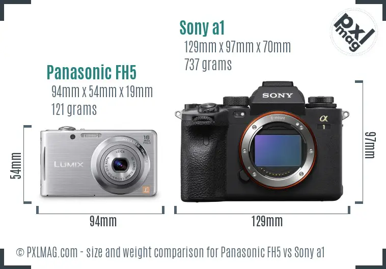 Panasonic FH5 vs Sony a1 size comparison