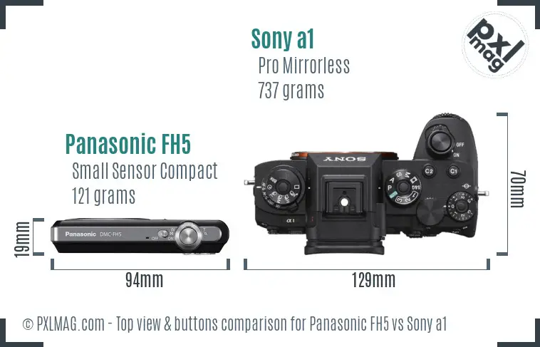 Panasonic FH5 vs Sony a1 top view buttons comparison