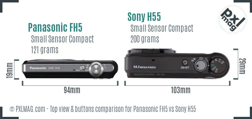 Panasonic FH5 vs Sony H55 top view buttons comparison