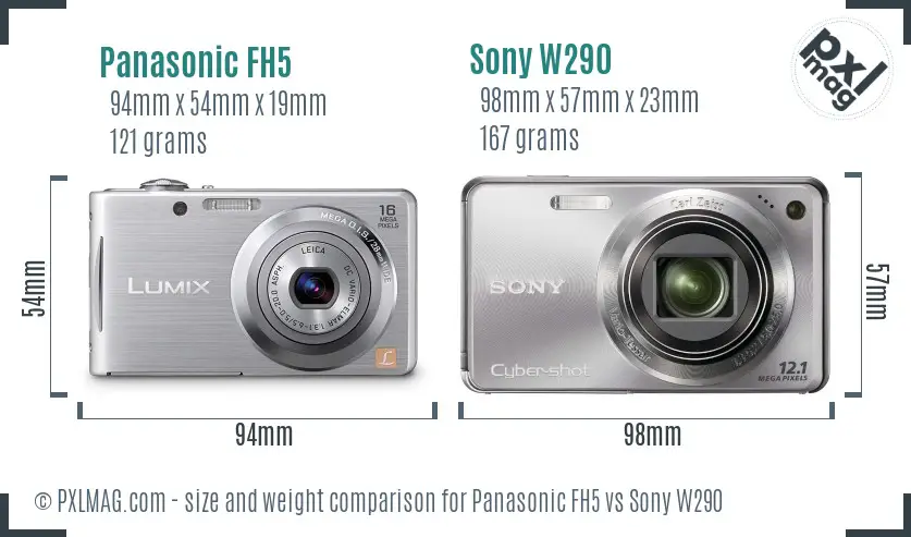 Panasonic FH5 vs Sony W290 size comparison