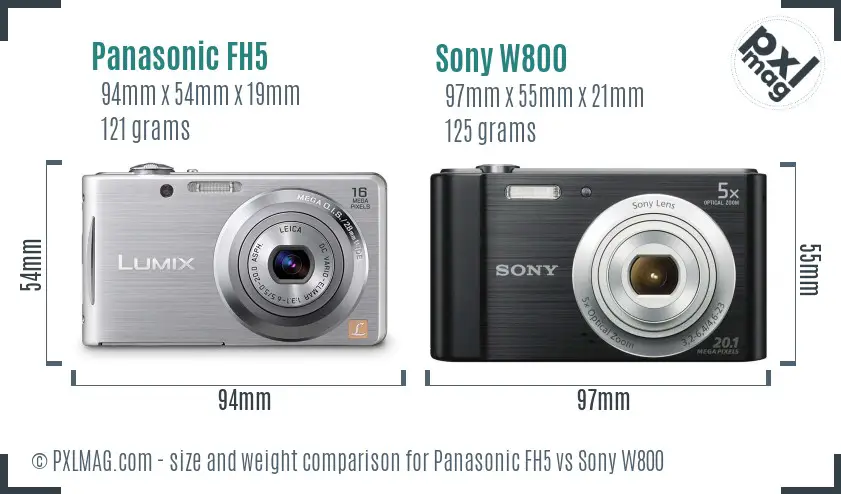 Panasonic FH5 vs Sony W800 size comparison