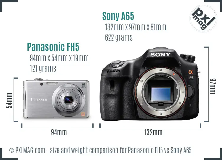 Panasonic FH5 vs Sony A65 size comparison