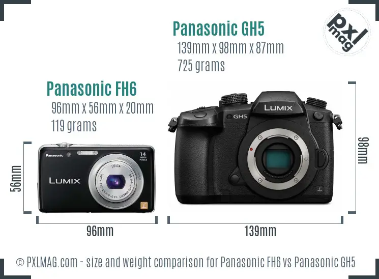 Panasonic FH6 vs Panasonic GH5 size comparison