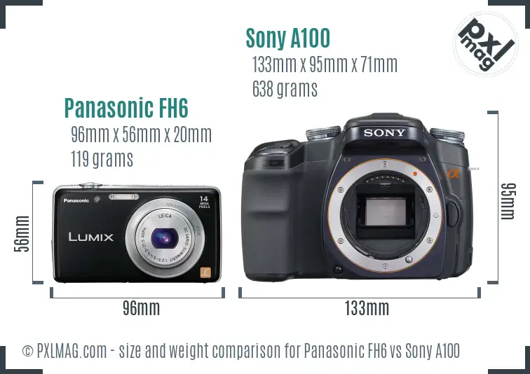 Panasonic FH6 vs Sony A100 size comparison