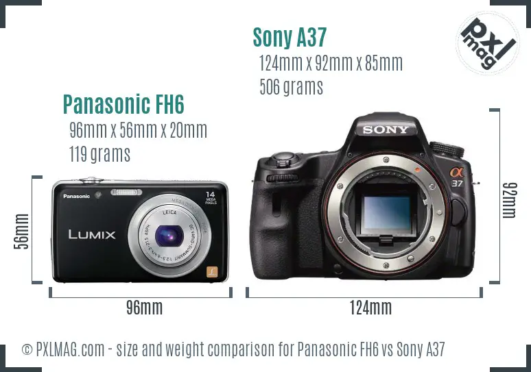 Panasonic FH6 vs Sony A37 size comparison