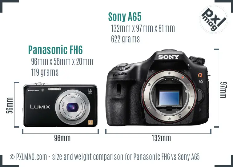 Panasonic FH6 vs Sony A65 size comparison