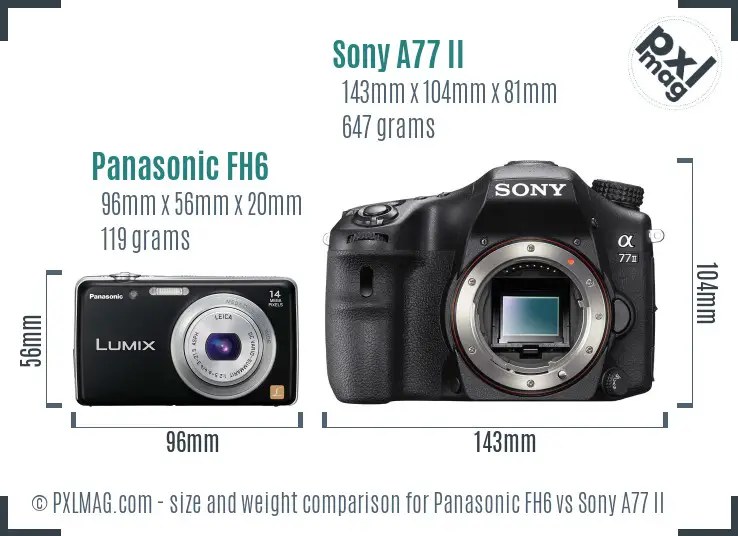 Panasonic FH6 vs Sony A77 II size comparison