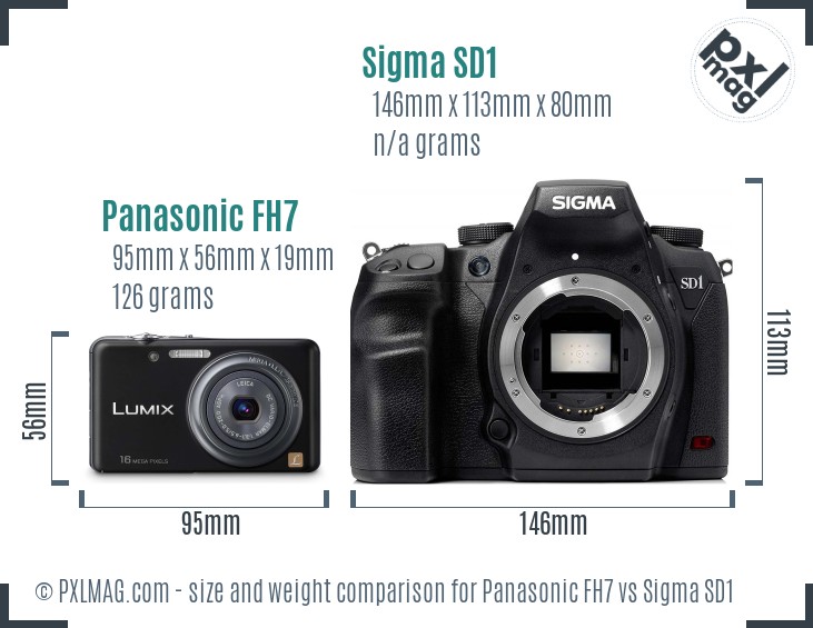 Panasonic FH7 vs Sigma SD1 size comparison