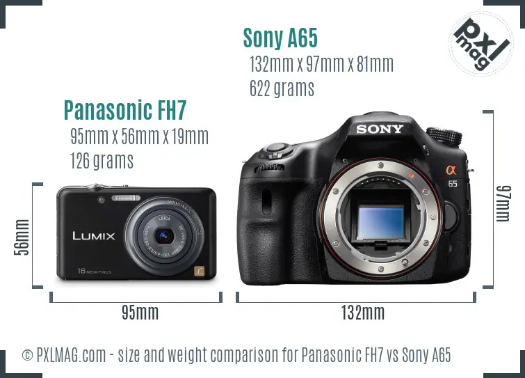 Panasonic FH7 vs Sony A65 size comparison