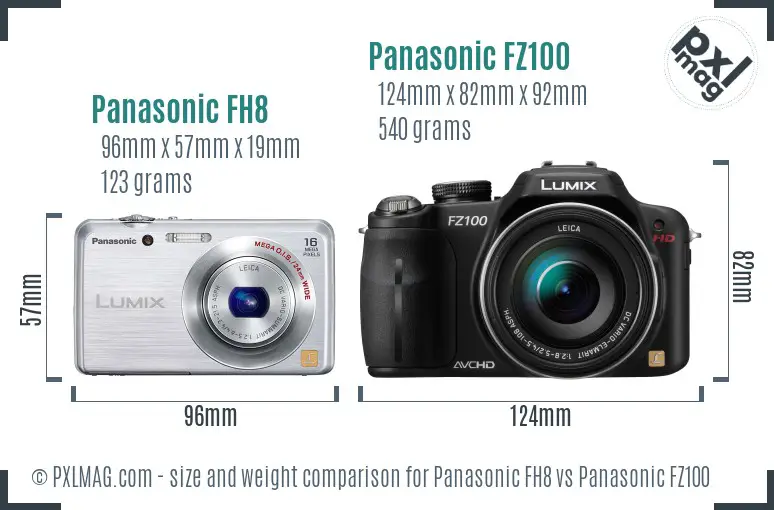 Panasonic FH8 vs Panasonic FZ100 size comparison