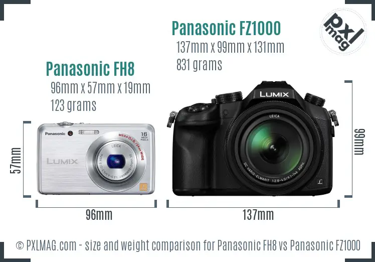 Panasonic FH8 vs Panasonic FZ1000 size comparison