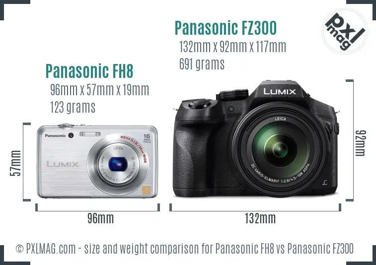 Panasonic FH8 vs Panasonic FZ300 size comparison