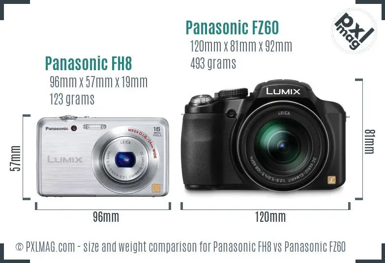 Panasonic FH8 vs Panasonic FZ60 size comparison