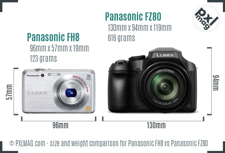 Panasonic FH8 vs Panasonic FZ80 size comparison