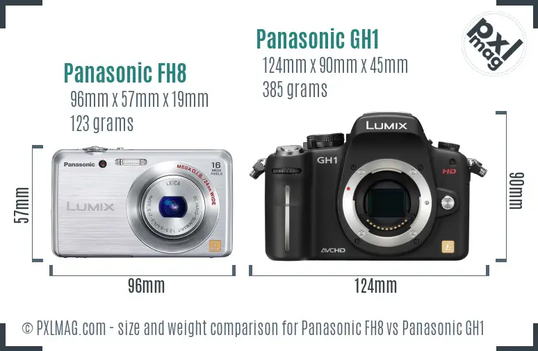 Panasonic FH8 vs Panasonic GH1 size comparison