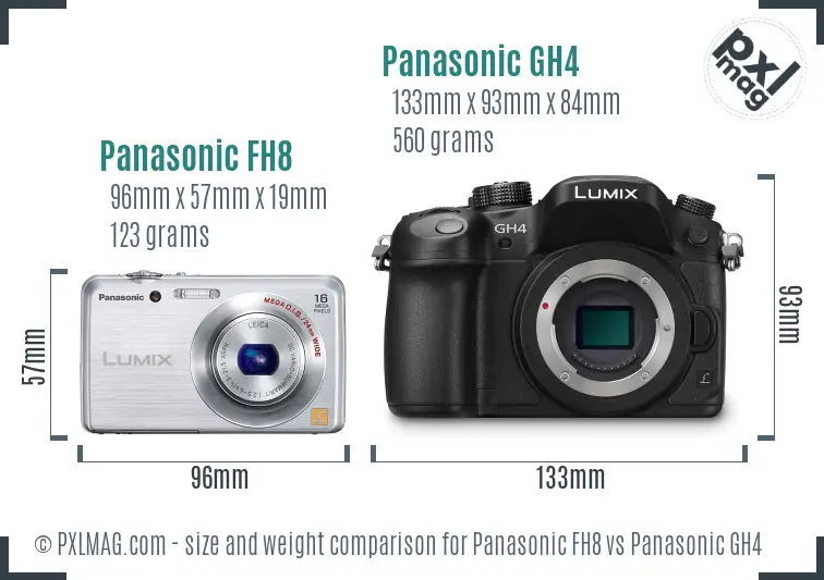 Panasonic FH8 vs Panasonic GH4 size comparison