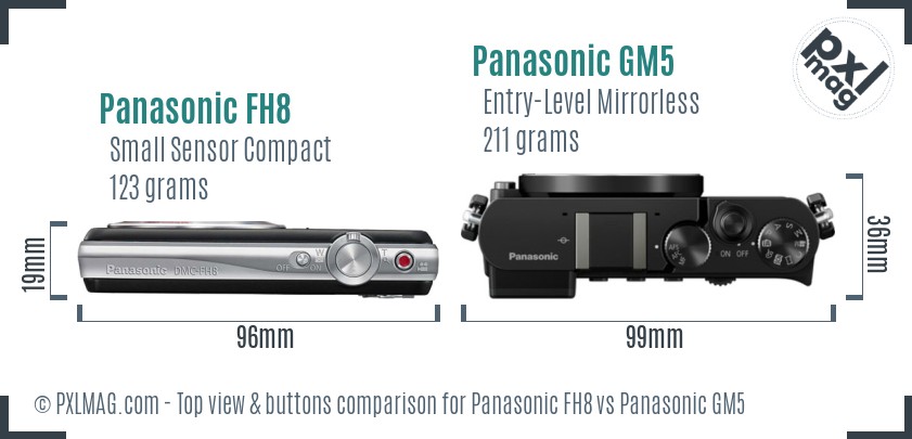 Panasonic FH8 vs Panasonic GM5 top view buttons comparison