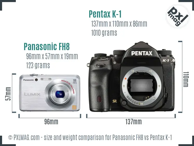 Panasonic FH8 vs Pentax K-1 size comparison