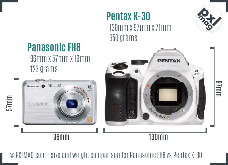 Panasonic FH8 vs Pentax K-30 size comparison
