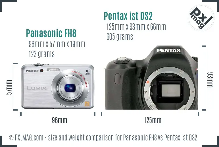 Panasonic FH8 vs Pentax ist DS2 size comparison