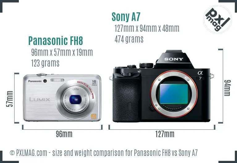 Panasonic FH8 vs Sony A7 size comparison