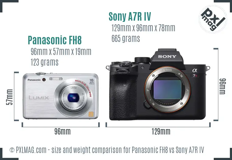 Panasonic FH8 vs Sony A7R IV size comparison