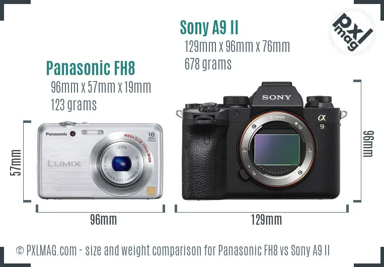 Panasonic FH8 vs Sony A9 II size comparison