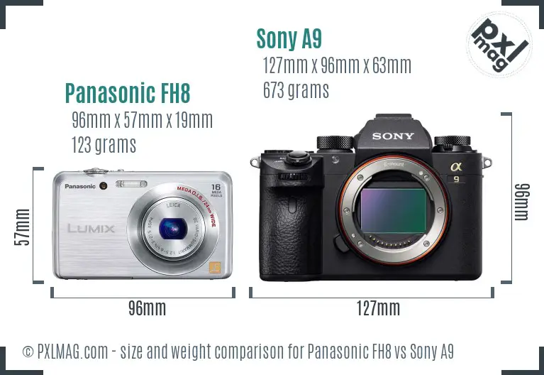 Panasonic FH8 vs Sony A9 size comparison