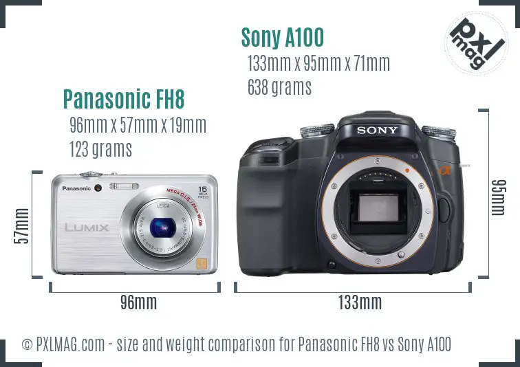 Panasonic FH8 vs Sony A100 size comparison