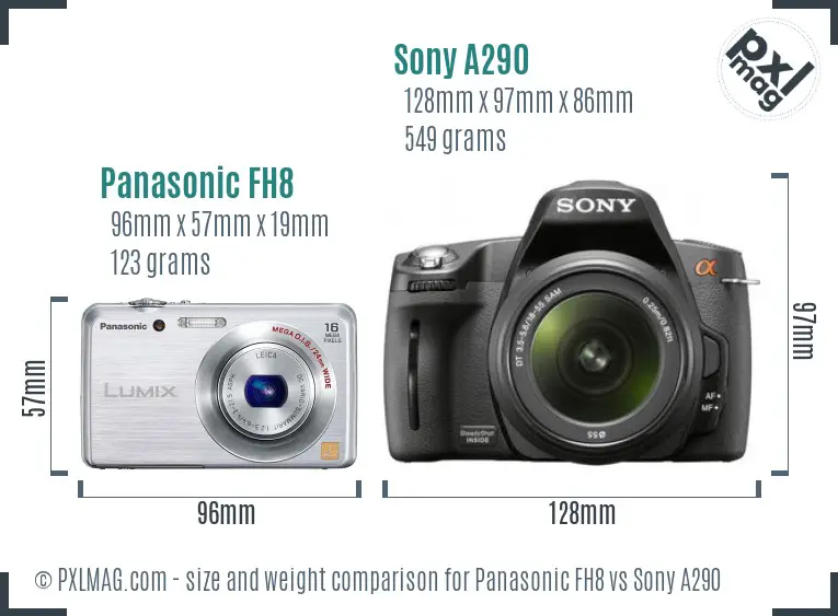 Panasonic FH8 vs Sony A290 size comparison