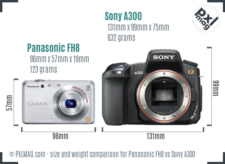Panasonic FH8 vs Sony A300 size comparison