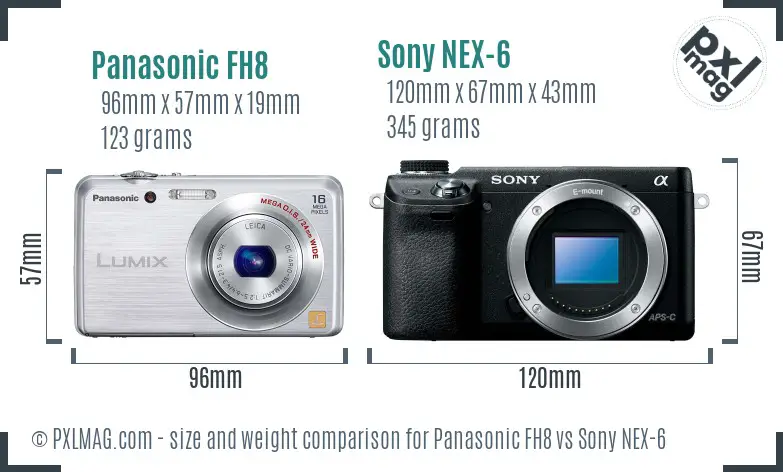 Panasonic FH8 vs Sony NEX-6 size comparison