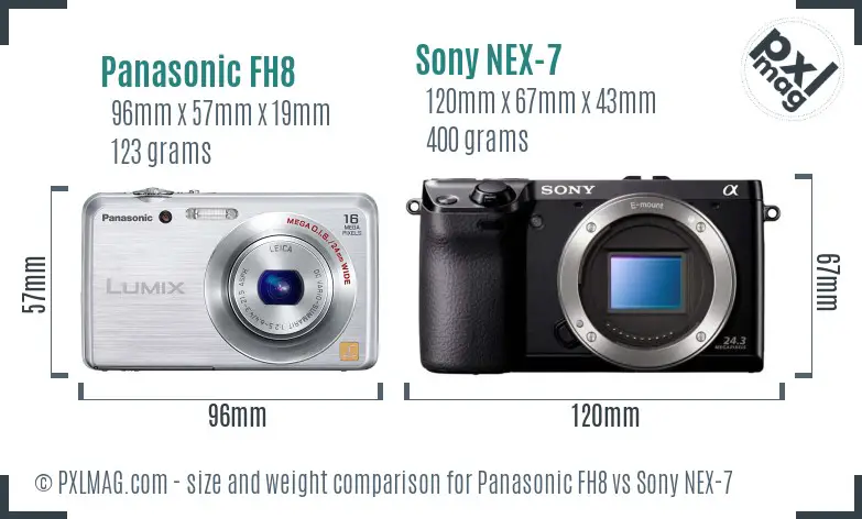 Panasonic FH8 vs Sony NEX-7 size comparison