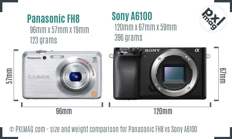 Panasonic FH8 vs Sony A6100 size comparison