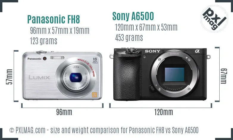 Panasonic FH8 vs Sony A6500 size comparison