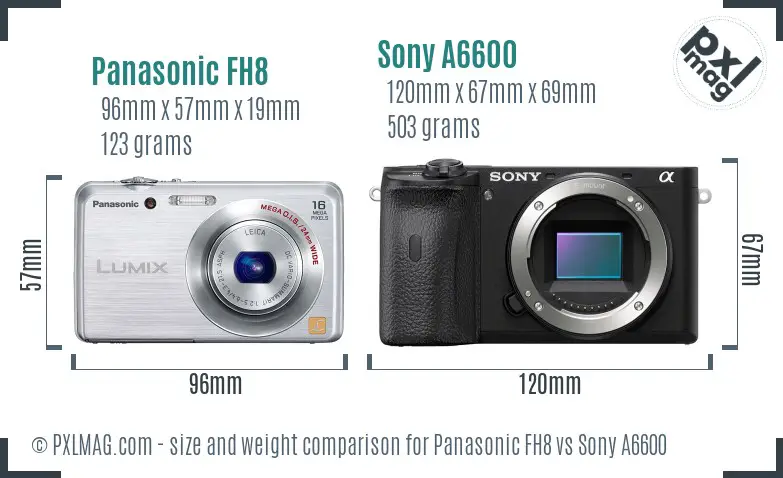 Panasonic FH8 vs Sony A6600 size comparison