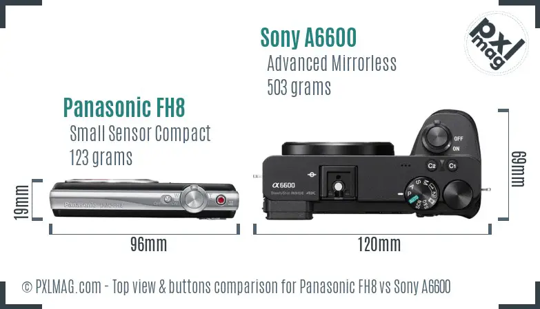 Panasonic FH8 vs Sony A6600 top view buttons comparison