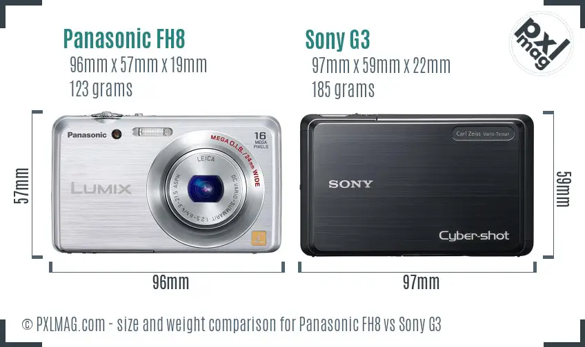 Panasonic FH8 vs Sony G3 size comparison