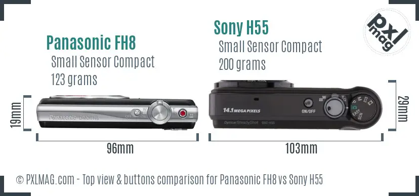 Panasonic FH8 vs Sony H55 top view buttons comparison