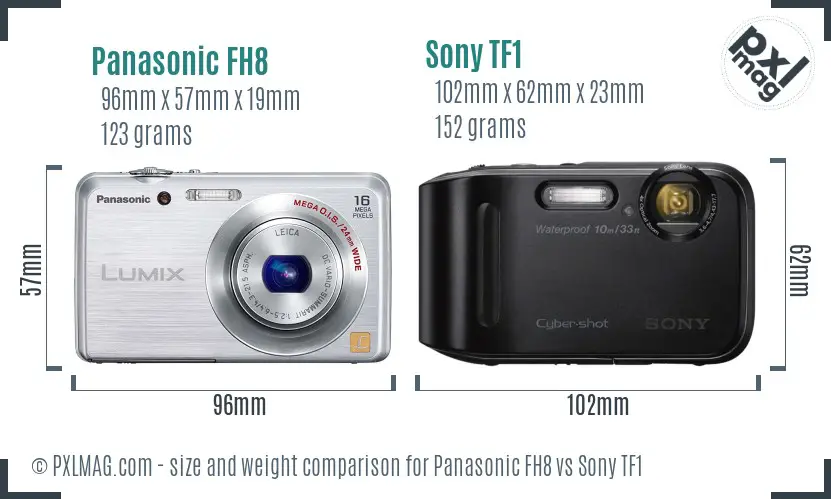 Panasonic FH8 vs Sony TF1 size comparison