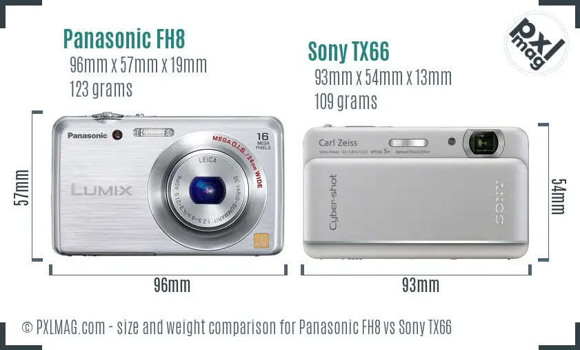 Panasonic FH8 vs Sony TX66 size comparison