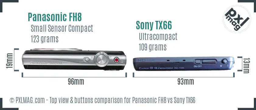 Panasonic FH8 vs Sony TX66 top view buttons comparison
