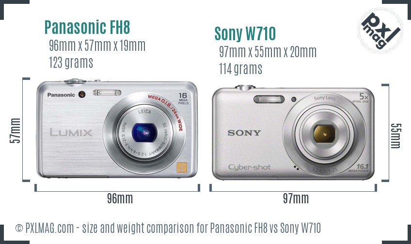 Panasonic FH8 vs Sony W710 size comparison